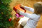 Free Girl And Gift Box Stock Photos - 6607253