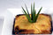 Free Upside Down Pineapple Pudding Stock Image - 6609231