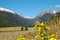 Free Rocky Mountain Landscape From Moraine Park Stock Photography - 6609802