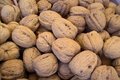 Free Fresh Wallnuts Stock Photo - 6615470