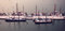 Free Old Sailing Boats In The Marina Royalty Free Stock Image - 6613216