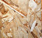 Free Plywood Royalty Free Stock Photos - 6616018