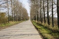 Free Endless Road Royalty Free Stock Image - 6621276