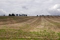 Free Agriculture Landscape Royalty Free Stock Photography - 6629877