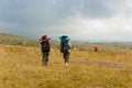 Free Hikers Stock Images - 6637154