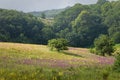 Free Crimea Nature Stock Photo - 6637950