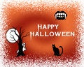 Free Halloween Stock Photo - 6639090