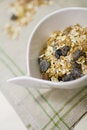 Free Bowl Full Of Musli And Bottle Of Milk Stock Image - 6639271