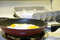 Free Fried Eggs Stock Photography - 6631382