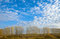 Free Beautiful Sky And Autumn Trees Stock Photography - 6636342