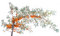 Free Branch Of Sea-buckthorn Royalty Free Stock Image - 6638736
