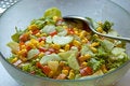 Free Tasty Salad Stock Photography - 6648172