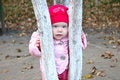 Free Pretty Little Girl Stay Behind Tree. Royalty Free Stock Image - 6652046