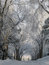 Free Road Covered With Snow Royalty Free Stock Photo - 6665005