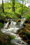 Free Small Waterfall On A Stream In Mountain Resort Stock Photos - 6667493