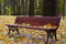 Free Bench In Autumn Park Stock Photo - 6669970
