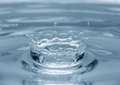Free Water Crown Royalty Free Stock Image - 6676306