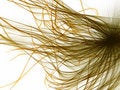 Free Fantasy Alien Unknown Alive Alien Stock Photography - 6678232