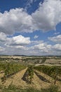 Free Tuscany Royalty Free Stock Image - 6679866