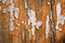 Free Abstract Rough Background Royalty Free Stock Image - 6674276