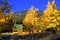 Free Autumn At St Malo Stables Stock Images - 6678094