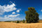 Free Country Landscape Stock Photo - 6678320