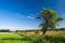 Free Country Landscape Royalty Free Stock Photography - 6678647