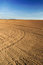 Free Country Landscape Royalty Free Stock Photo - 6678965