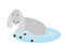 Free Upset Donkey In Pool Royalty Free Stock Image - 6679976