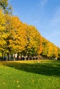 Free Autumn Day Stock Photos - 6684983
