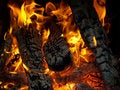 Free Fire Stock Photos - 6688873