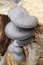 Free Mushrooms Stock Photos - 6680413