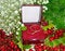Free Wedding Rings. Royalty Free Stock Photos - 6683638