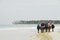 Free Ride On Horseback On The Beach Royalty Free Stock Photography - 6685397