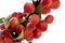 Free Cherries Stock Photos - 6689463