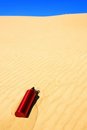Free Desert Royalty Free Stock Images - 6695189