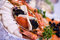 Free Big Plate With Red And Black Caviar Royalty Free Stock Photo - 6697525