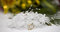 Free Wedding Rings Royalty Free Stock Photo - 6697905