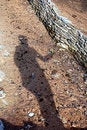 Free Shadow With ......... Stock Images - 670074