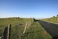 Free Road And Horses Stock Photo - 674250