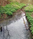 Free Brook In Forest. Stock Photos - 679883