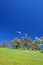 Free Springtime Landscape Stock Image - 676451