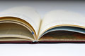Free Blank, Opened Agenda Royalty Free Stock Image - 6701356