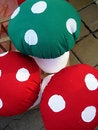 Free Mushrooms Stock Images - 6702384