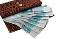 Free Rich Purse Stock Photo - 6708140