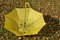 Free Yellow Umbrella Royalty Free Stock Photos - 6708498