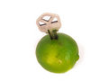 Free Key Lime, No Pie Stock Photos - 6710103