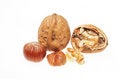 Free Walnuts And Hazel Nuts Royalty Free Stock Image - 6712756