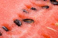 Free Fresh Appetizing Water-melon Stock Photo - 6719560