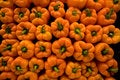 Free Red Peppers Stock Photography - 6721072